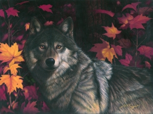 Autumn Wolf